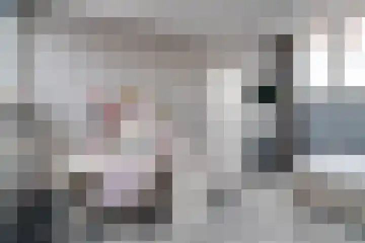 Nassaulaan 11 Rijnsburg thumbnail 32
