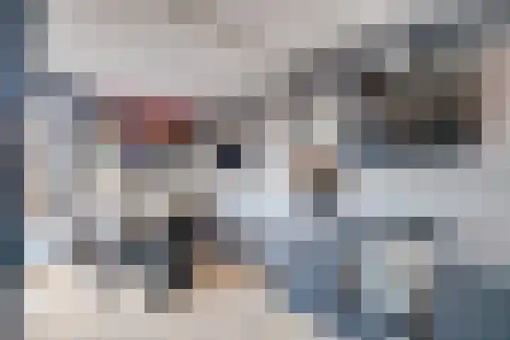 Nassaulaan 11 Rijnsburg thumbnail 8