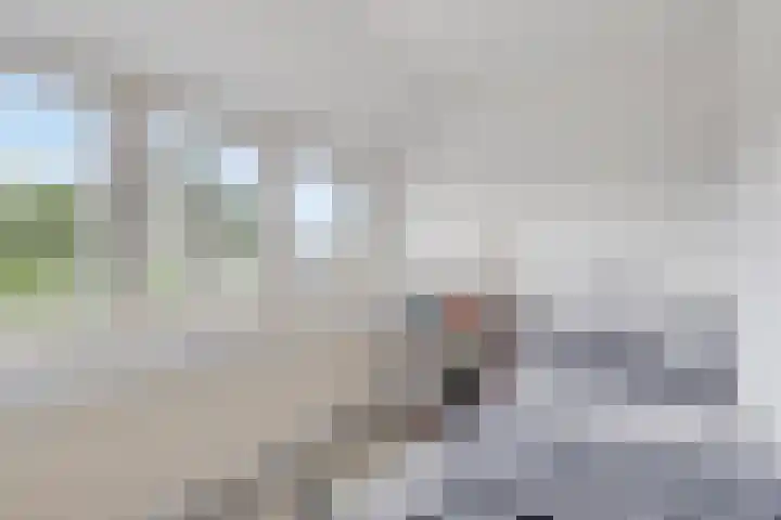 Nassaulaan 111 Goes thumbnail 14