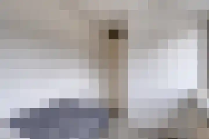 Nassaulaan 111 Goes thumbnail 15