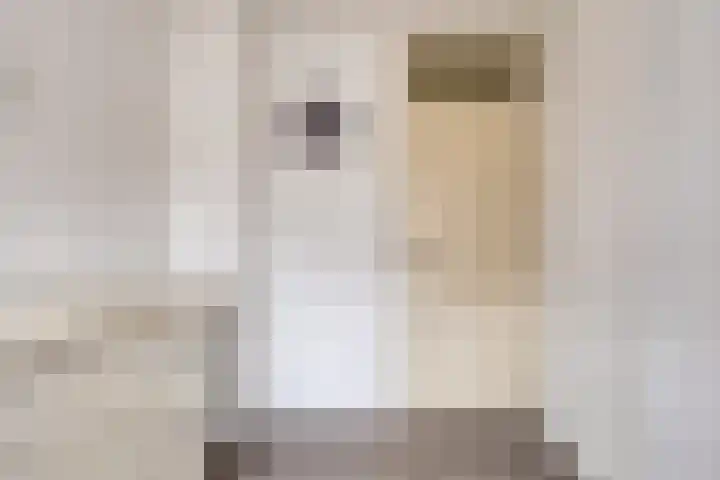 Nassaulaan 111 Goes thumbnail 17