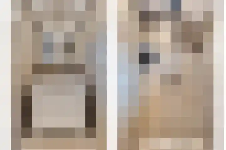 Nassaulaan 111 Goes thumbnail 19