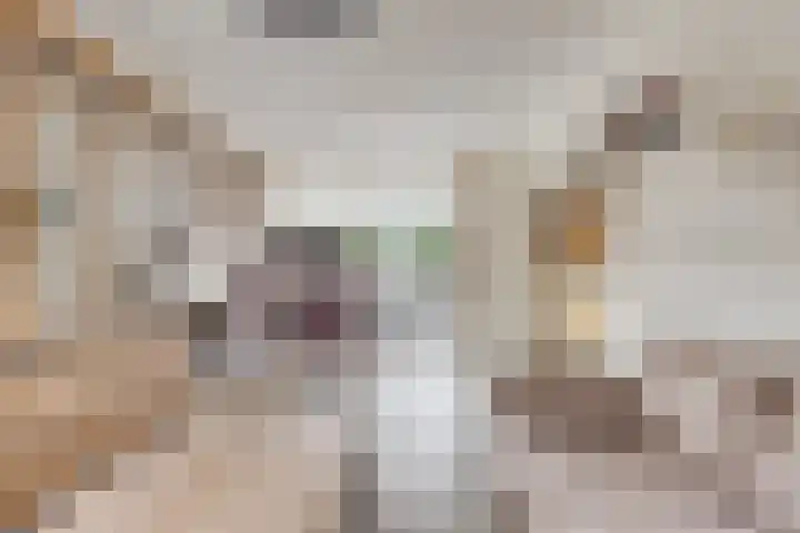 Nassaulaan 111 Goes thumbnail 4