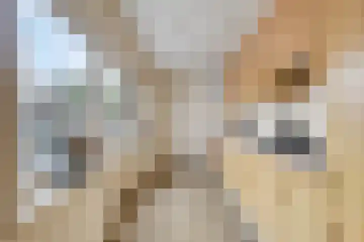Nassaulaan 111 Goes thumbnail 7