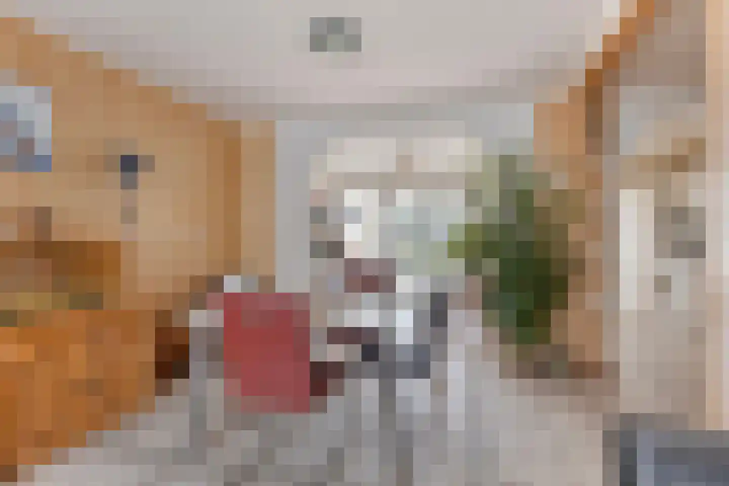 Nassaulaan 12 Goes thumbnail 10