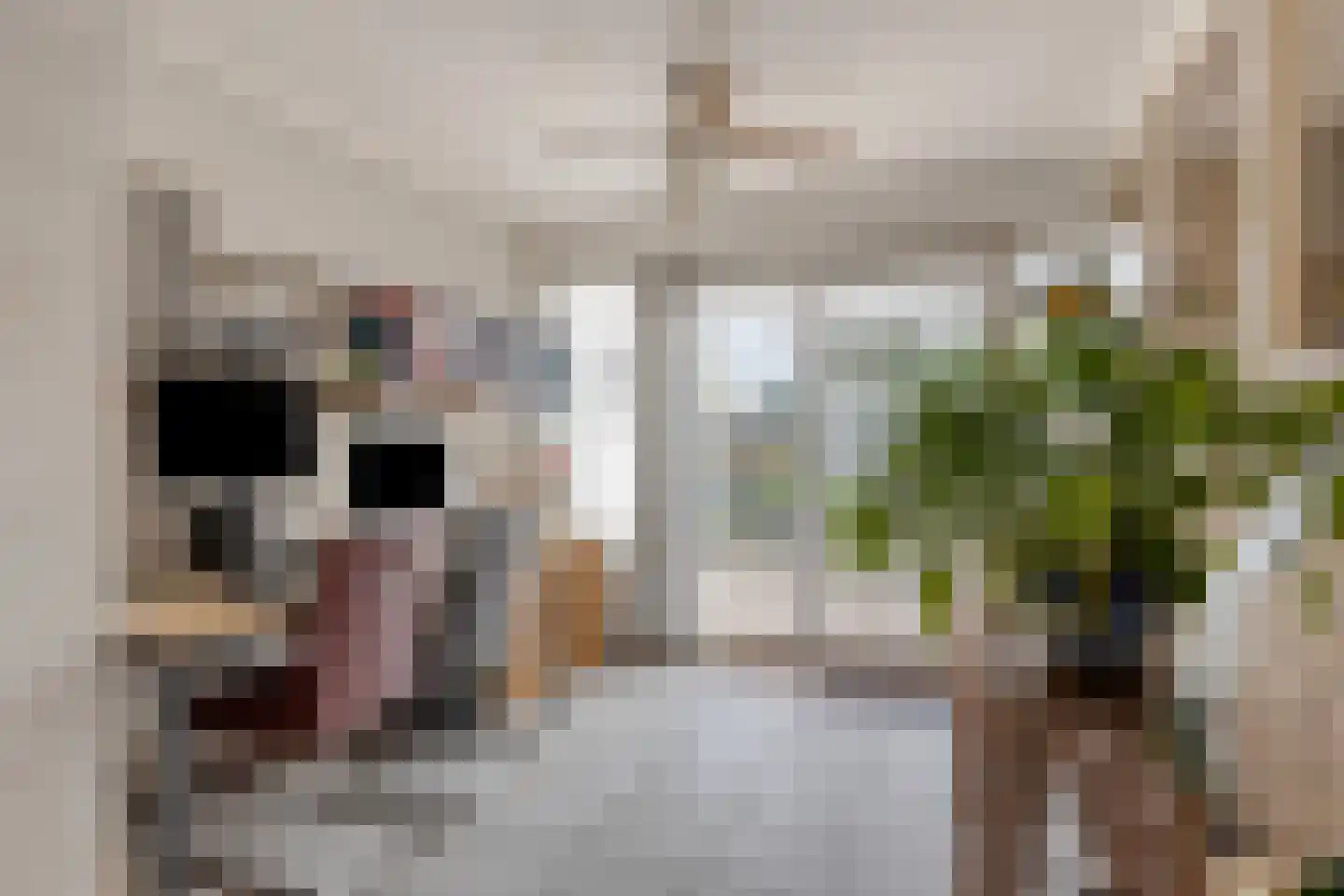 Nassaulaan 12 Goes thumbnail 11