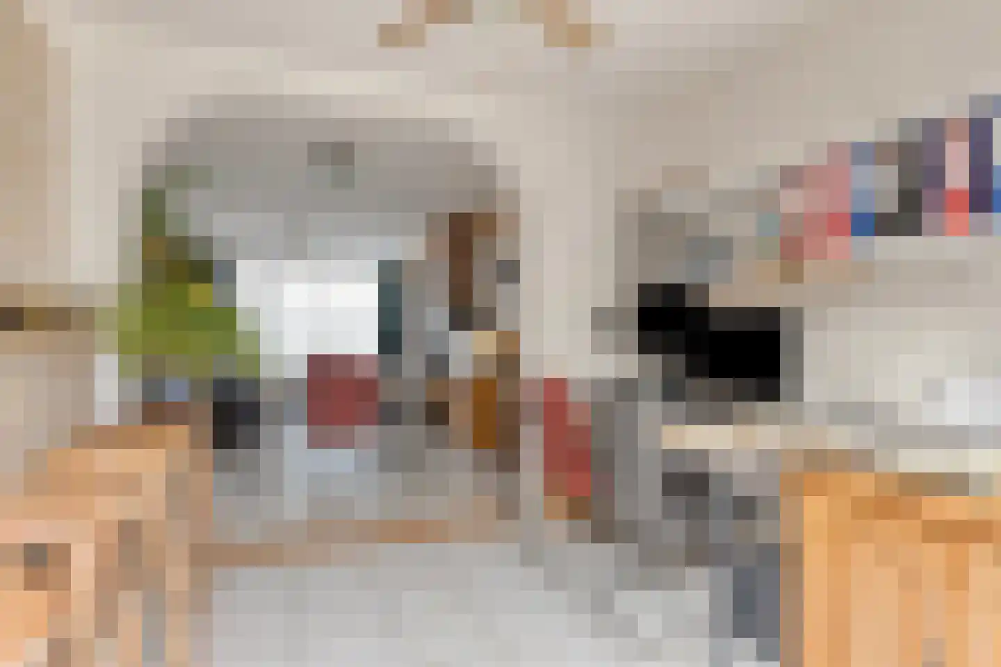 Nassaulaan 12 Goes thumbnail 12