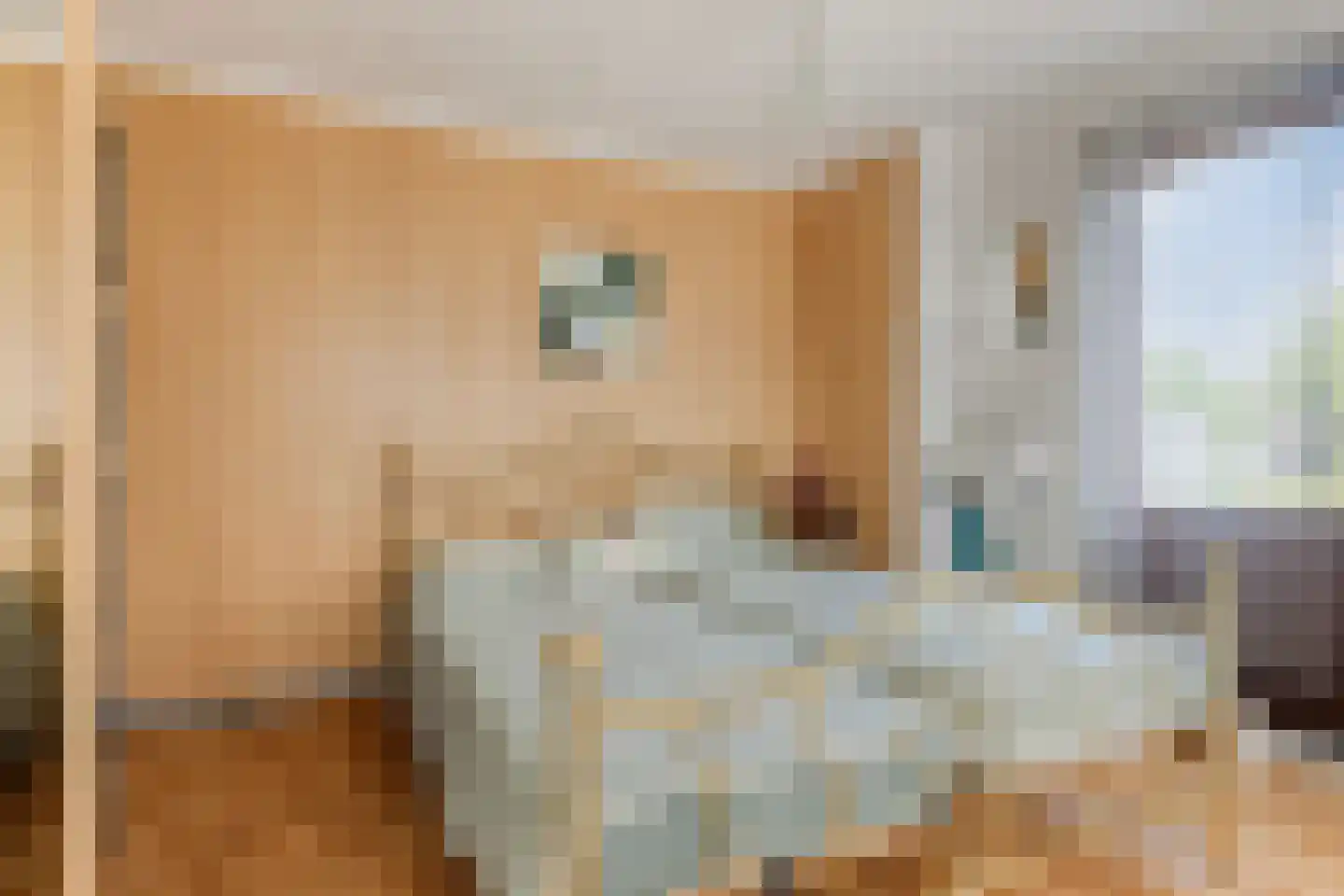 Nassaulaan 12 Goes thumbnail 23