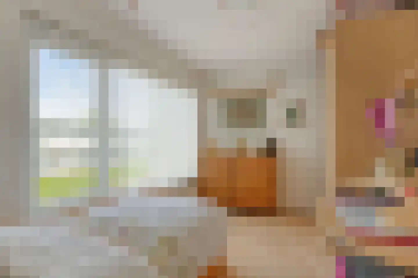Nassaulaan 12 Goes thumbnail 24