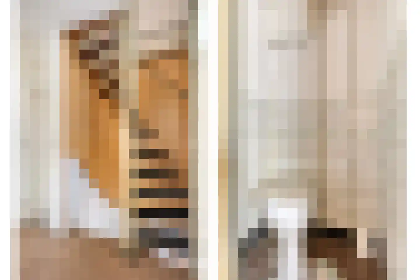Nassaulaan 12 Goes thumbnail 29