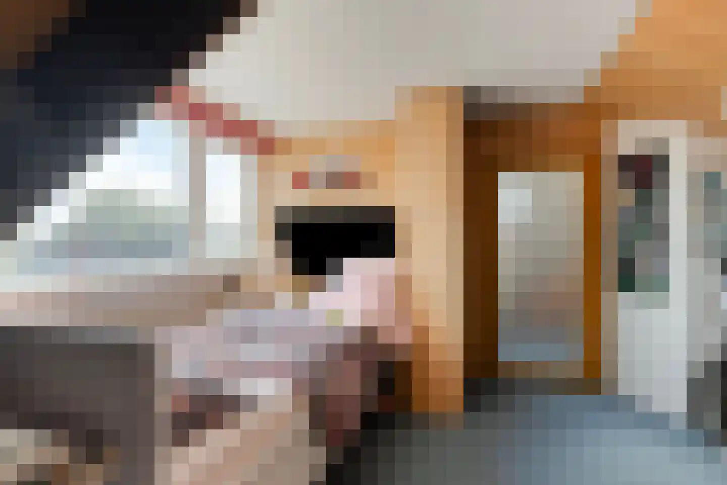 Nassaulaan 12 Goes thumbnail 34