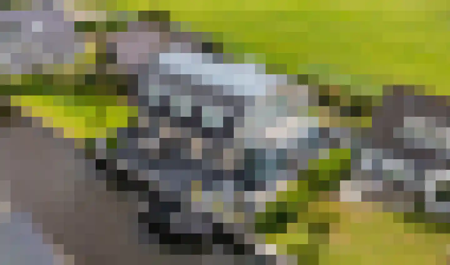 Nassaulaan 12 Kaag