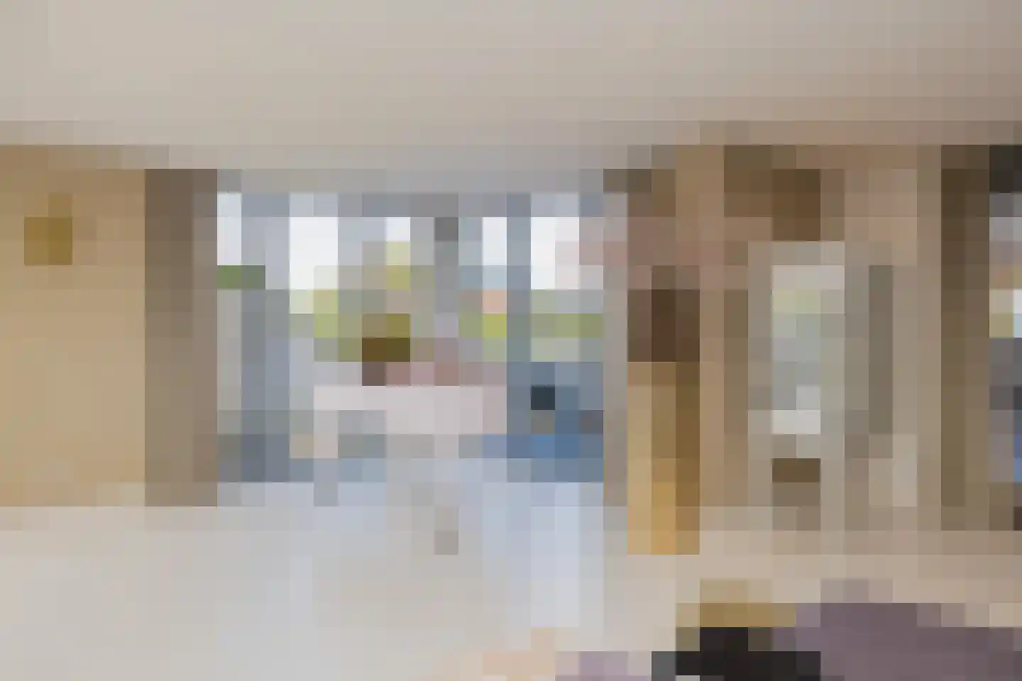 Nassaulaan 12 Kaag thumbnail 12