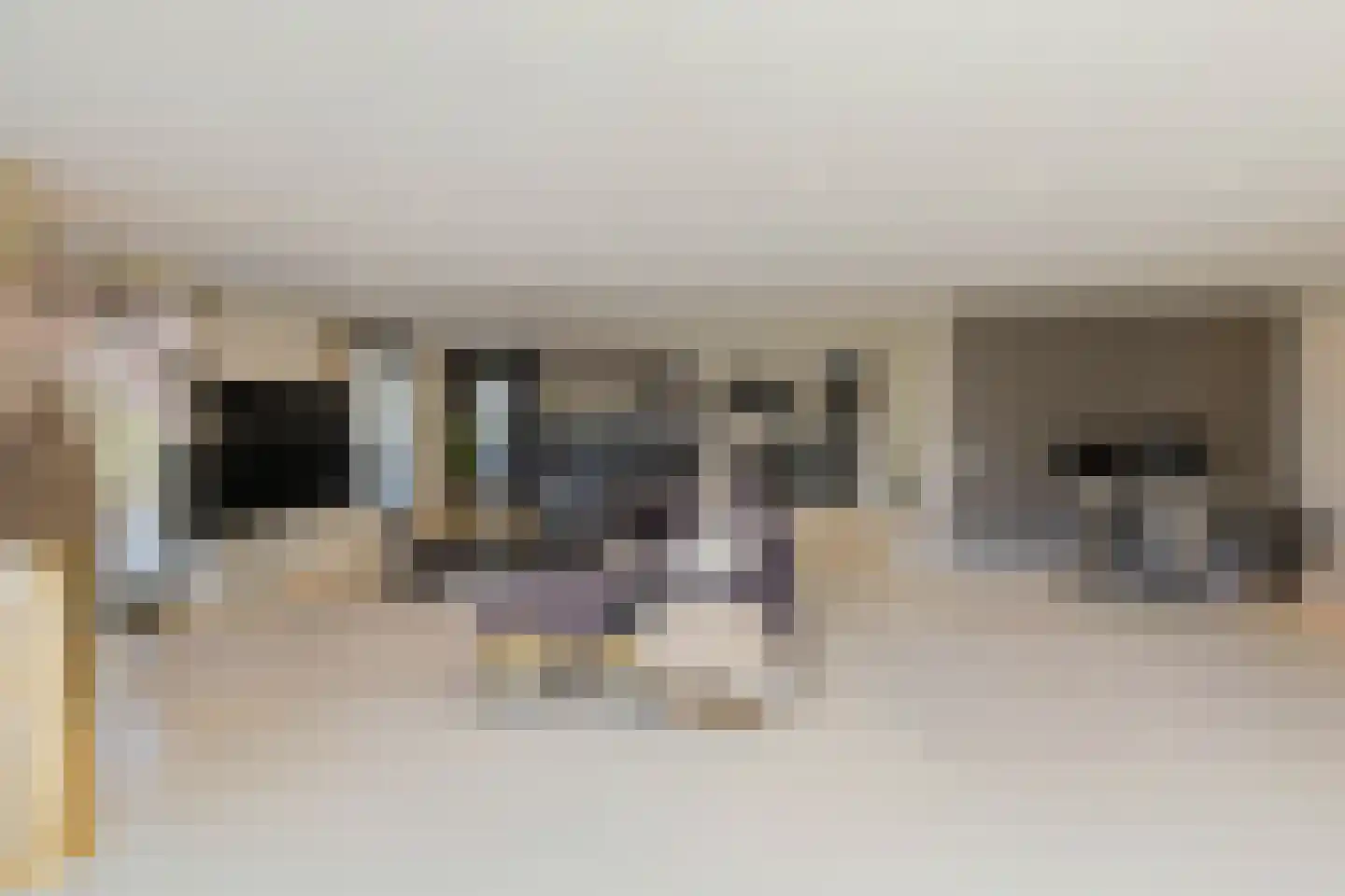 Nassaulaan 12 Kaag thumbnail 13