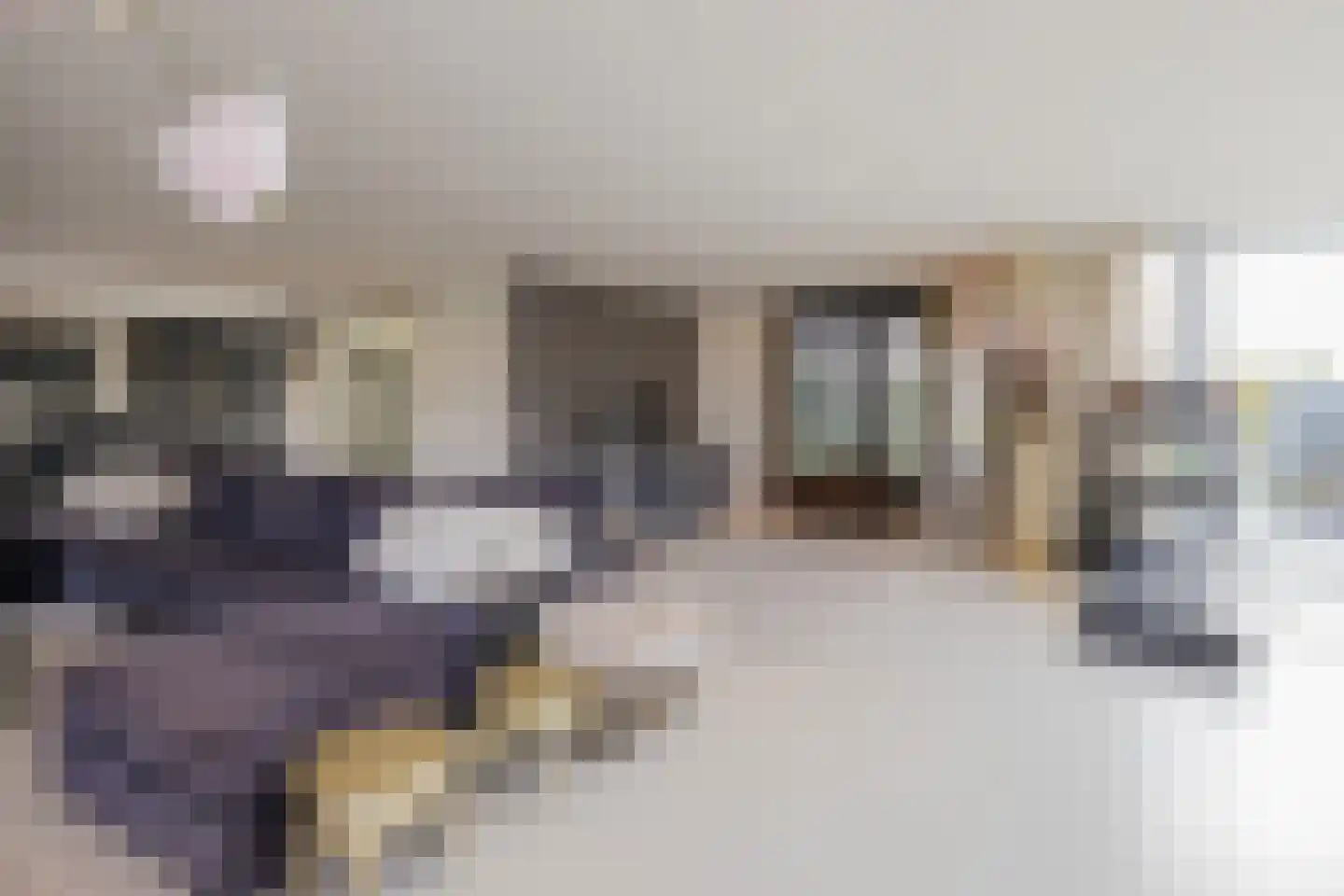 Nassaulaan 12 Kaag thumbnail 14