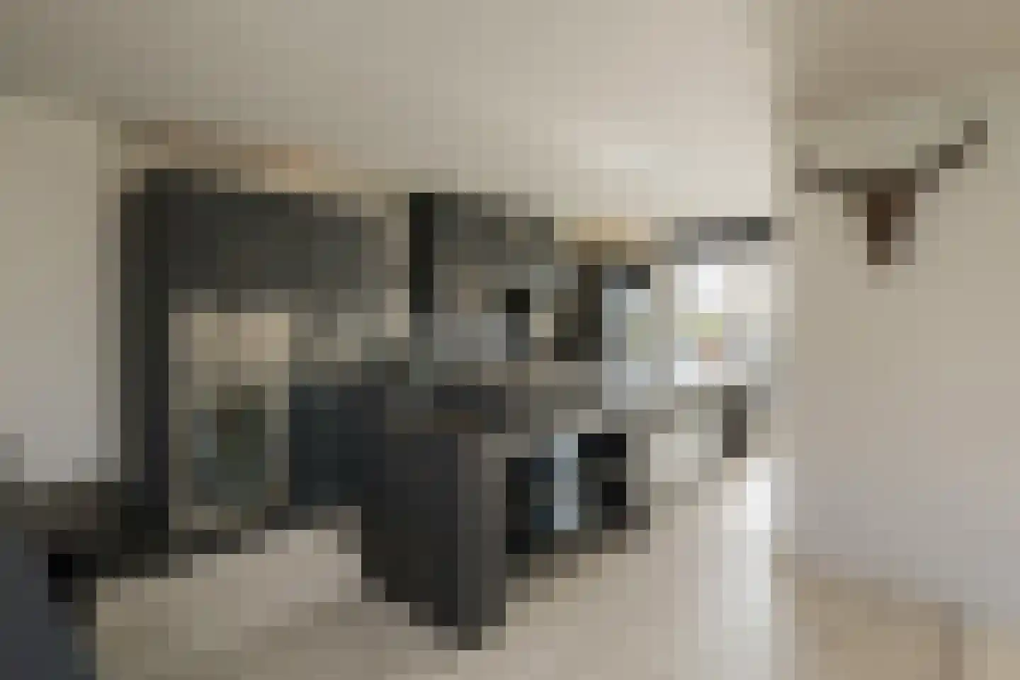 Nassaulaan 12 Kaag thumbnail 15