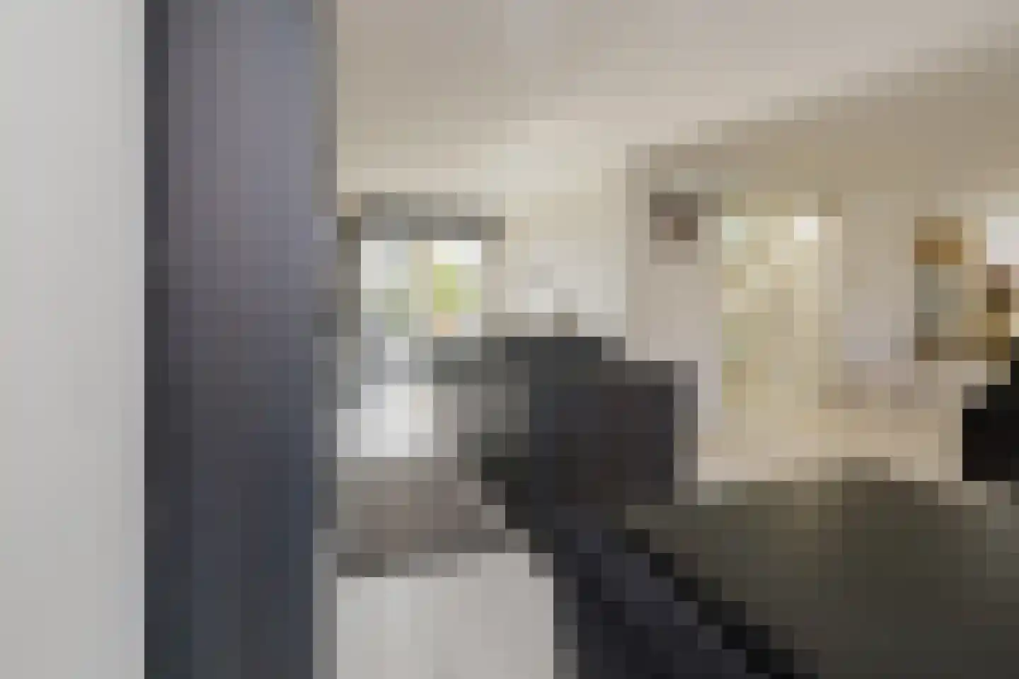 Nassaulaan 12 Kaag thumbnail 16