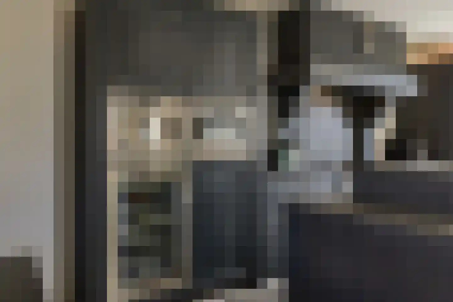 Nassaulaan 12 Kaag thumbnail 17