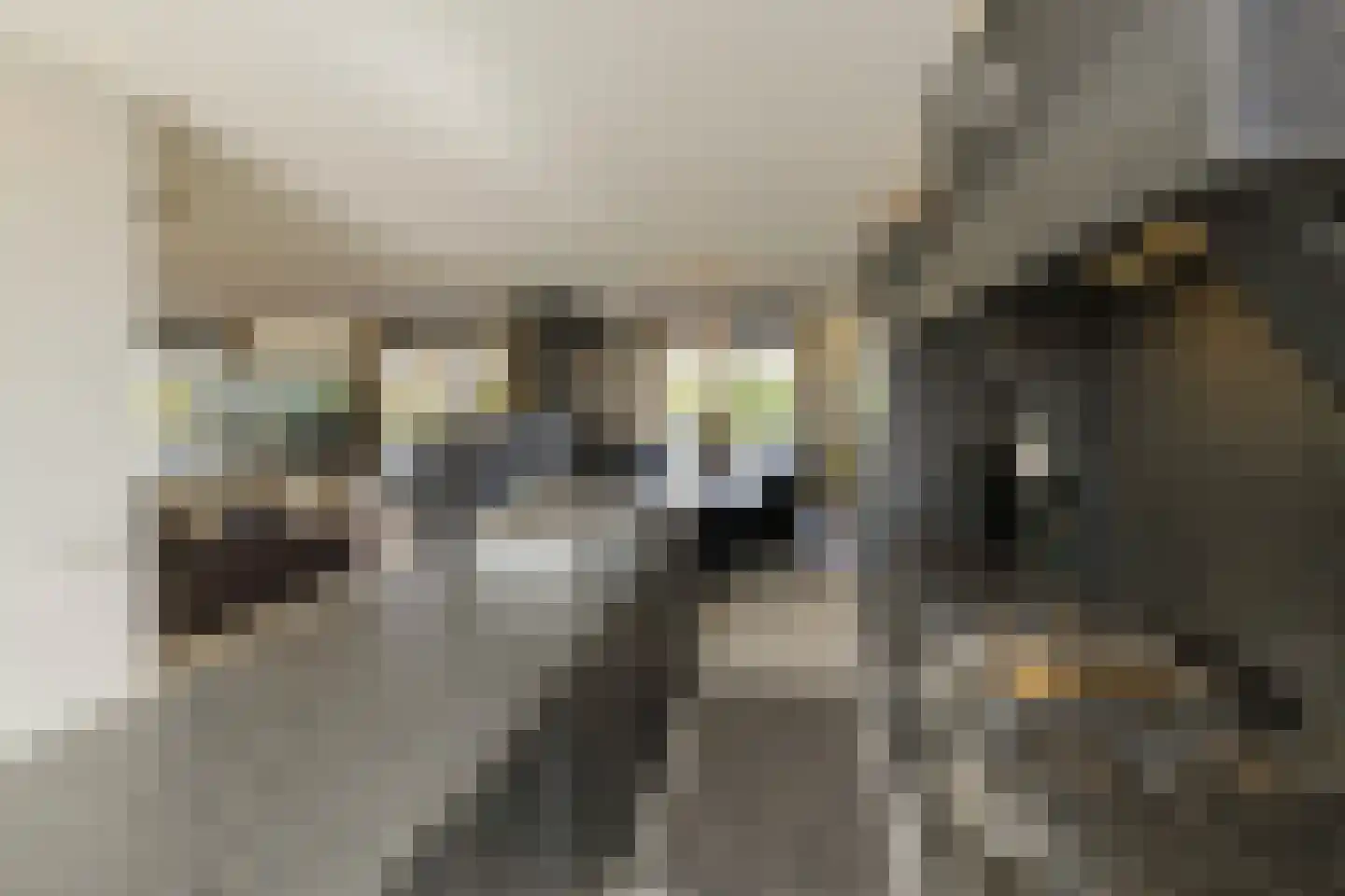 Nassaulaan 12 Kaag thumbnail 18