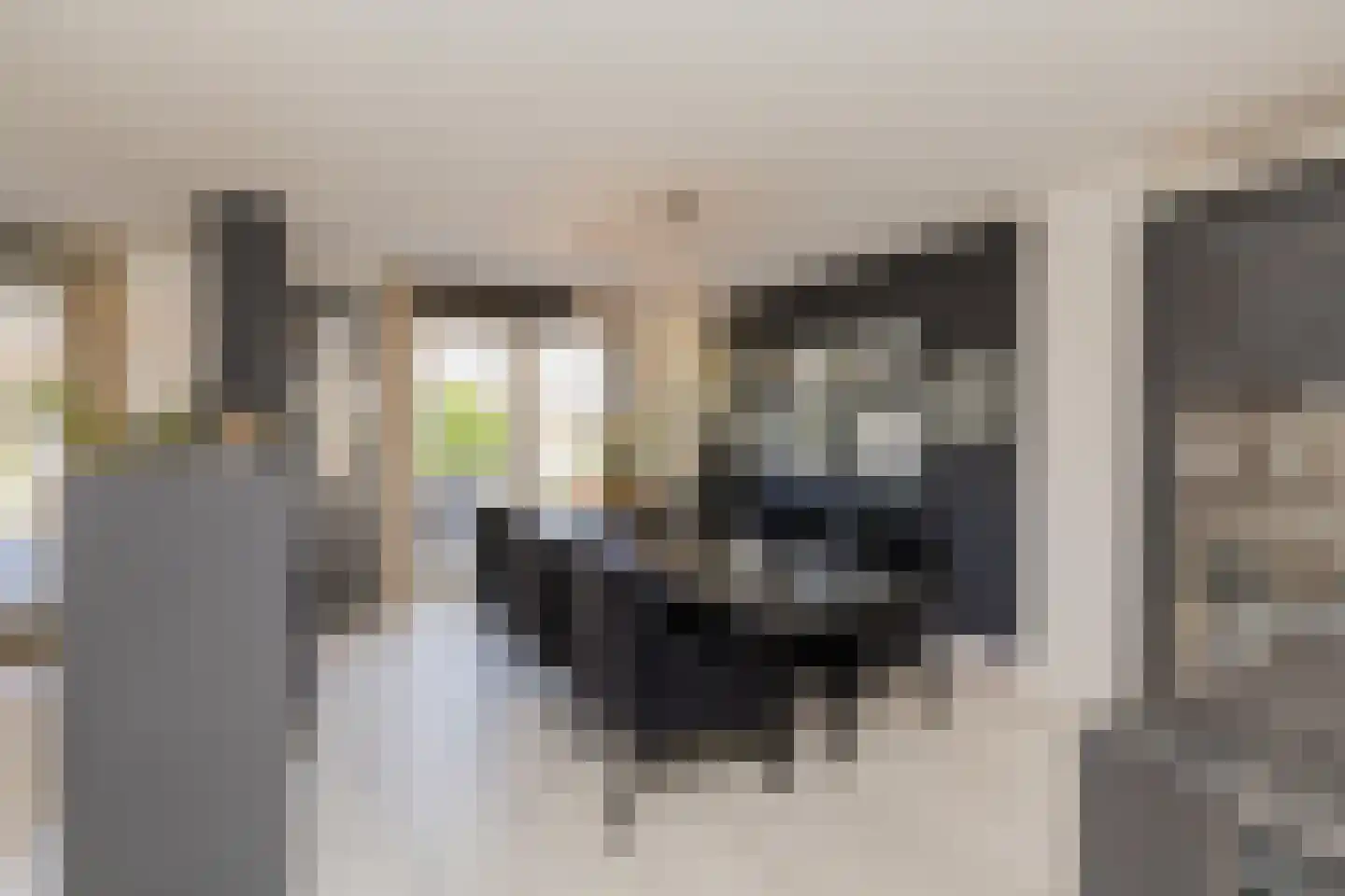 Nassaulaan 12 Kaag thumbnail 19