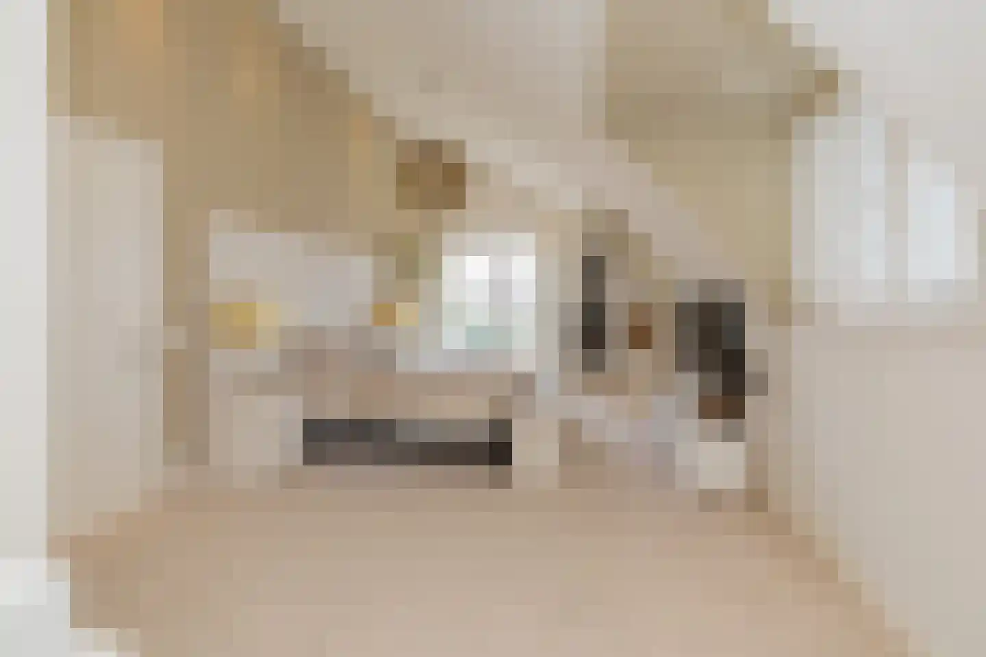 Nassaulaan 12 Kaag thumbnail 23