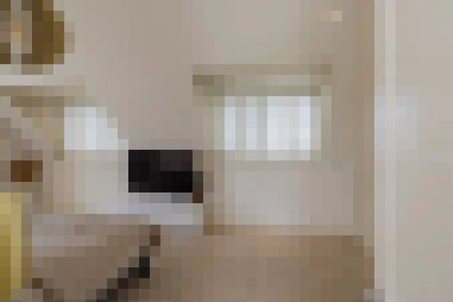 Nassaulaan 12 Kaag thumbnail 24