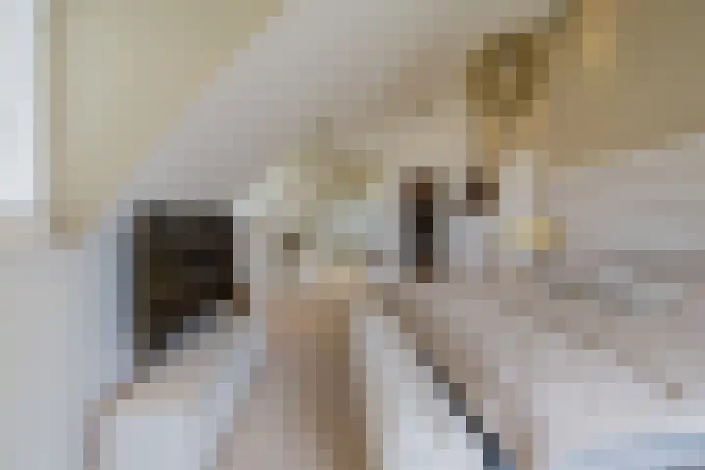 Nassaulaan 12 Kaag thumbnail 28