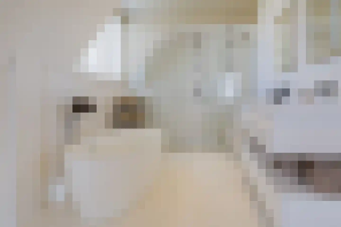 Nassaulaan 12 Kaag thumbnail 32