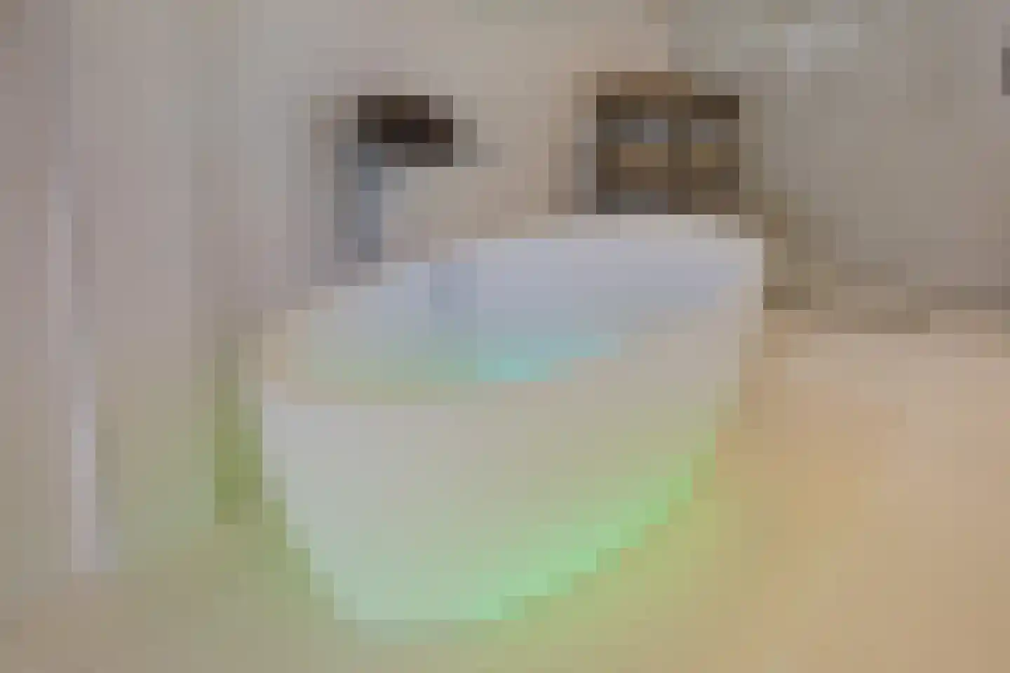 Nassaulaan 12 Kaag thumbnail 34