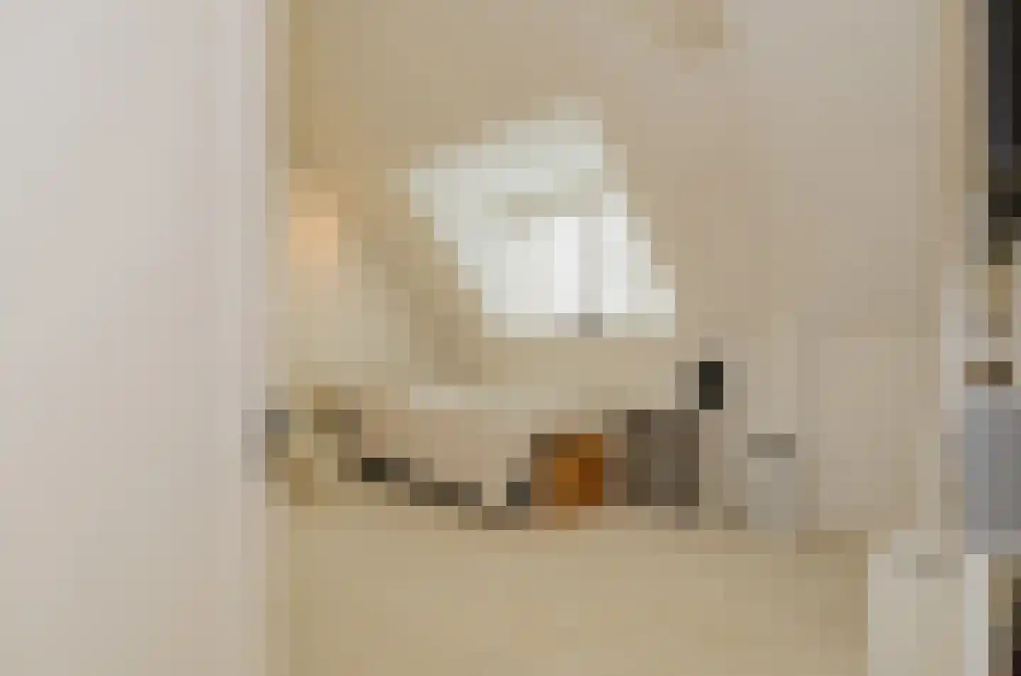Nassaulaan 12 Kaag thumbnail 39