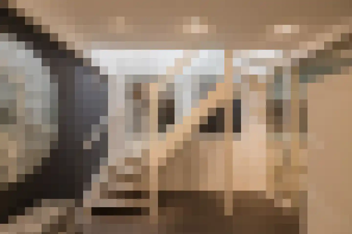Nassaulaan 12 Kaag thumbnail 44