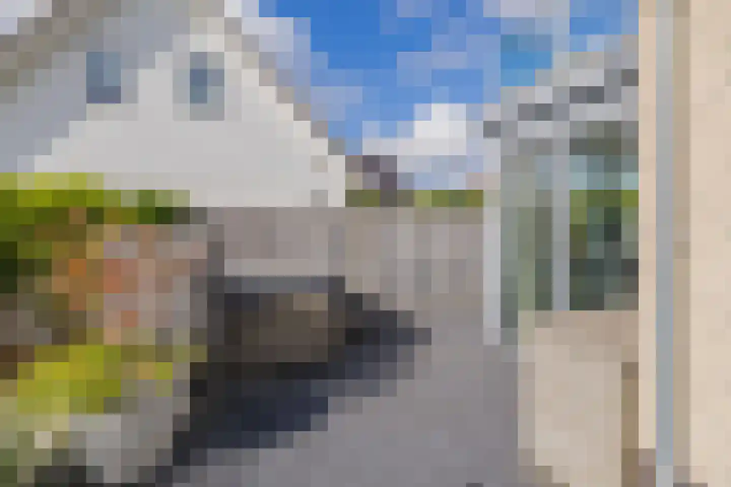 Nassaulaan 12 Kaag thumbnail 55