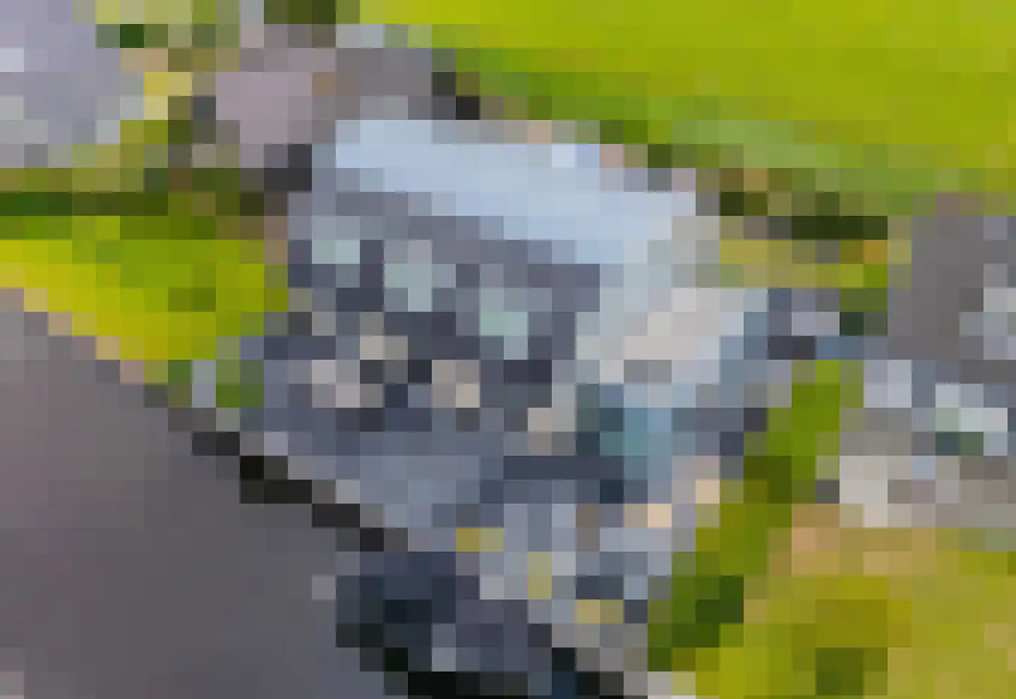 Nassaulaan 12 Kaag thumbnail 56