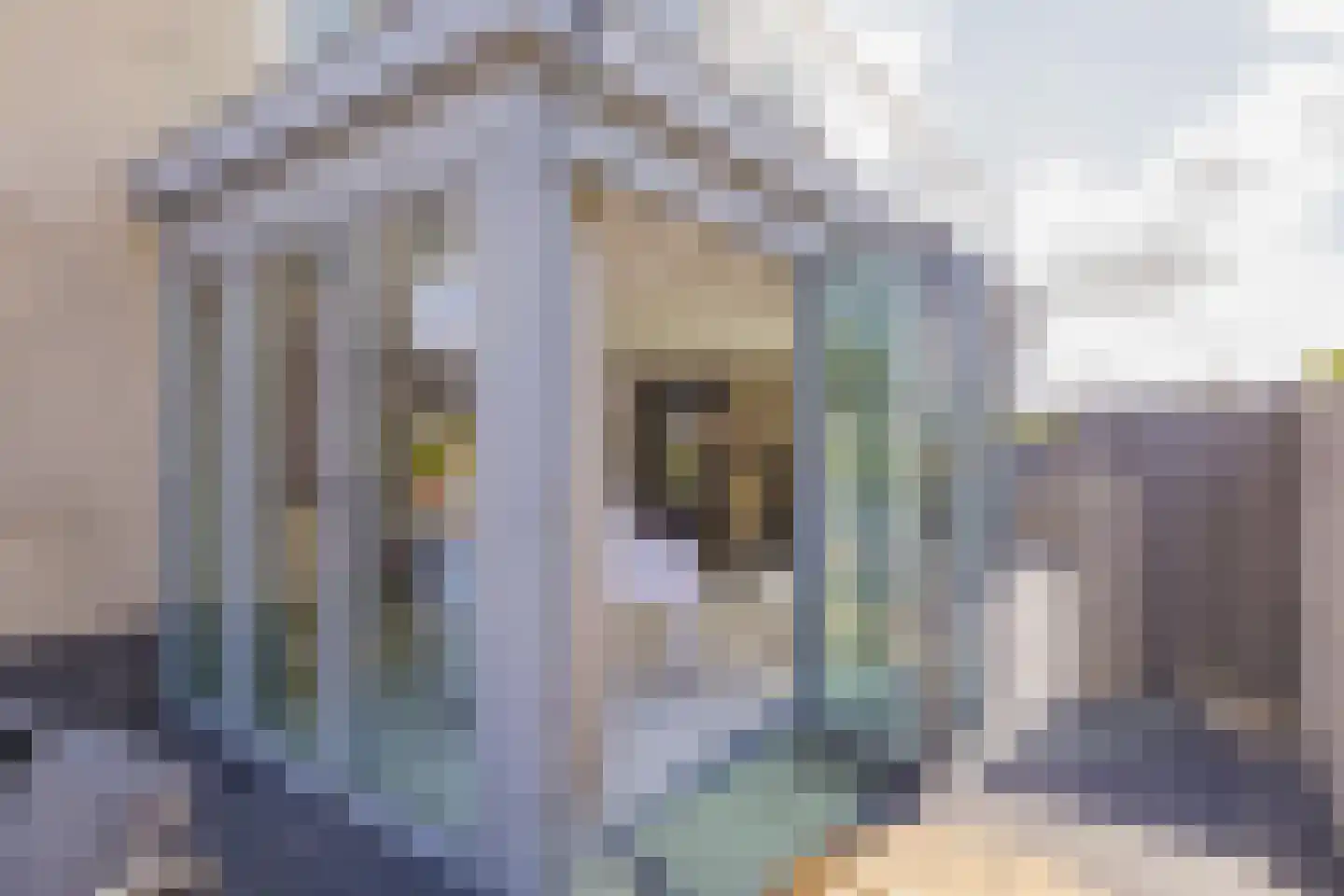 Nassaulaan 12 Kaag thumbnail 57