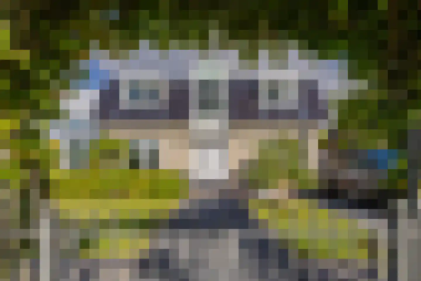 Nassaulaan 12 Kaag thumbnail 6