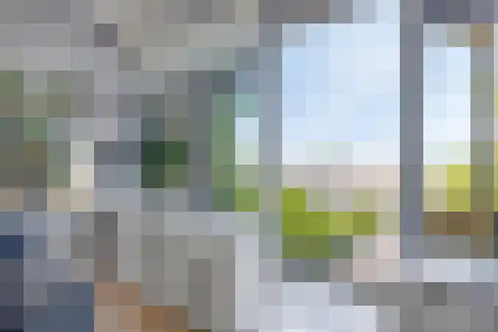 Nassaulaan 125 Middelburg thumbnail 10