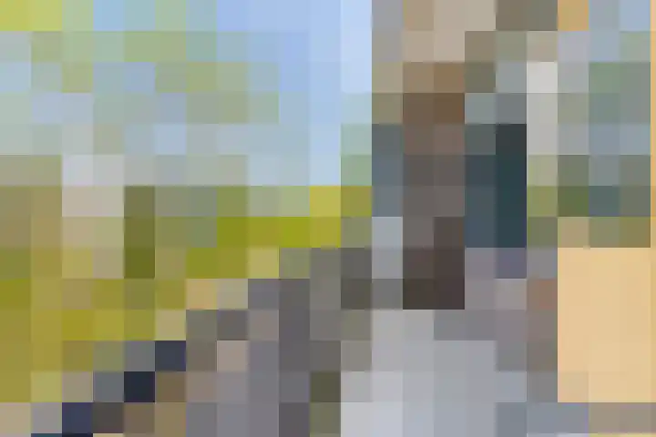 Nassaulaan 125 Middelburg thumbnail 11
