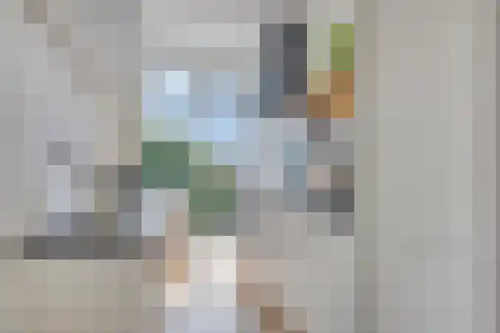 Nassaulaan 125 Middelburg thumbnail 14