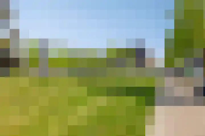 Nassaulaan 125 Middelburg thumbnail 28