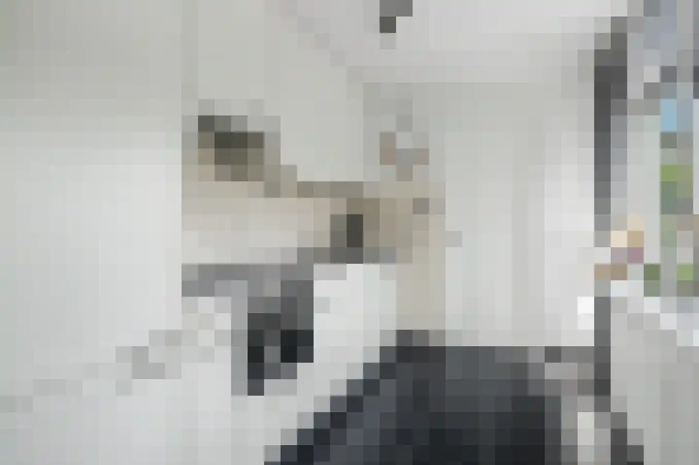 Nassaulaan 127 Goes thumbnail 14
