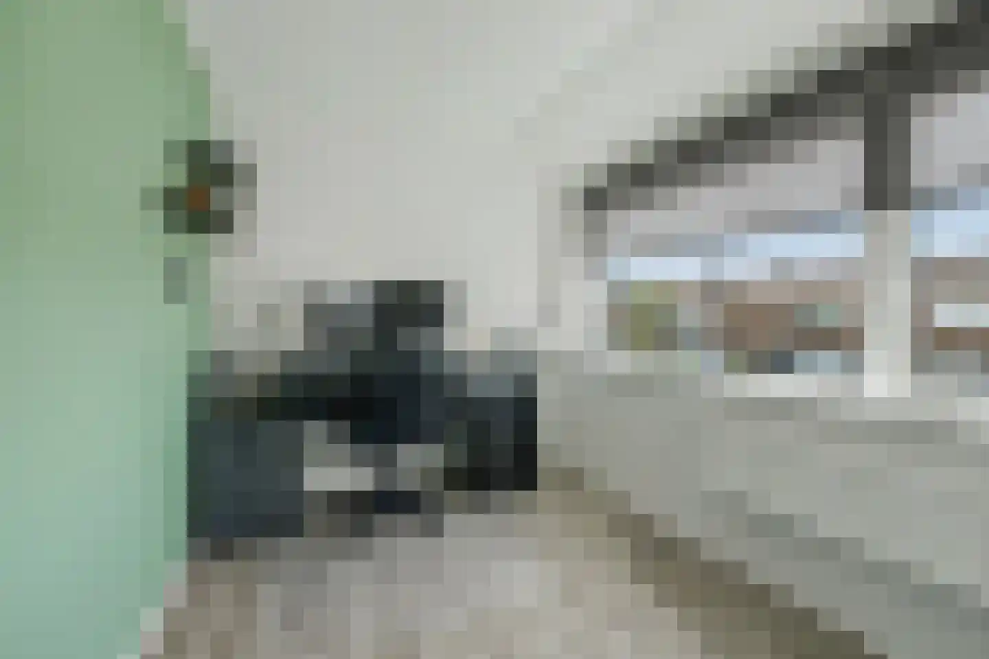 Nassaulaan 127 Goes thumbnail 20