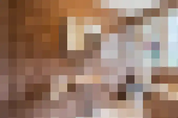 Nassaulaan 13 Ermelo thumbnail 29
