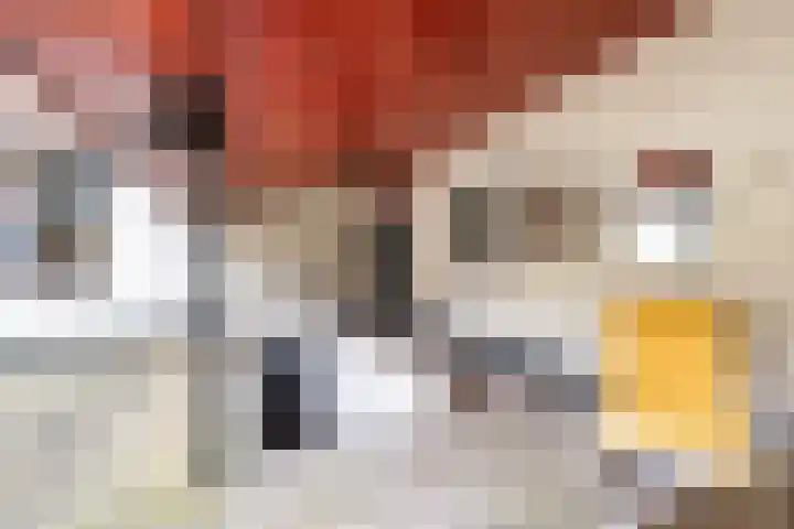 Nassaulaan 13 Ermelo thumbnail 35