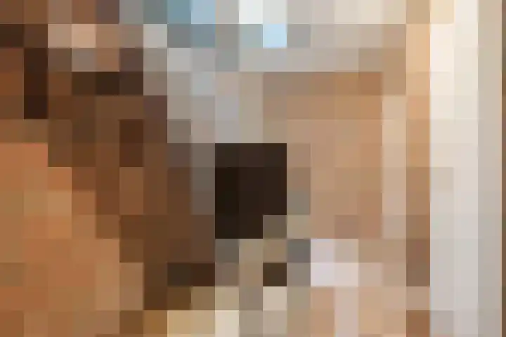 Nassaulaan 13 Ermelo thumbnail 37