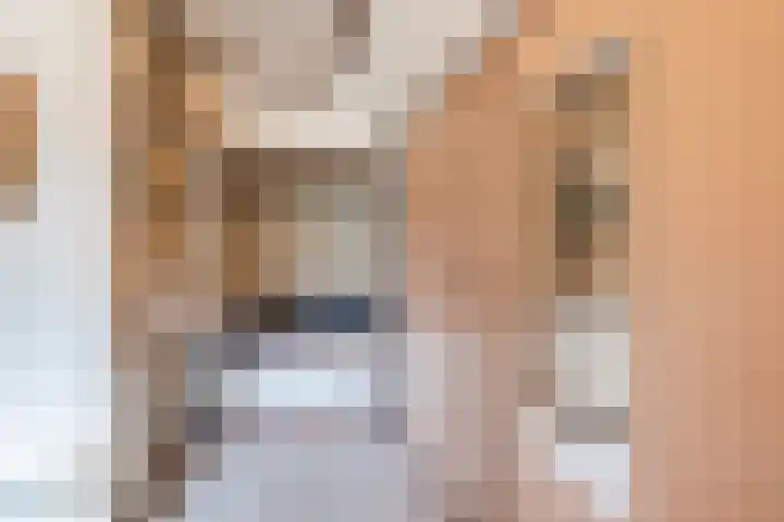 Nassaulaan 13 Ermelo thumbnail 41