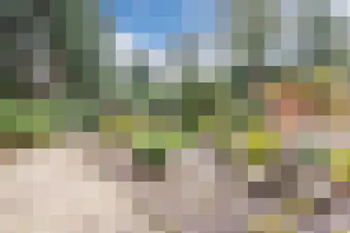 Nassaulaan 13 Ermelo thumbnail 49
