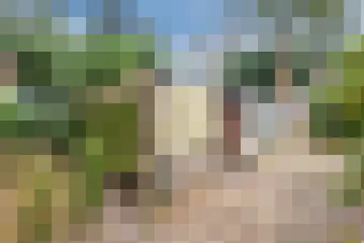 Nassaulaan 13 Ermelo thumbnail 51