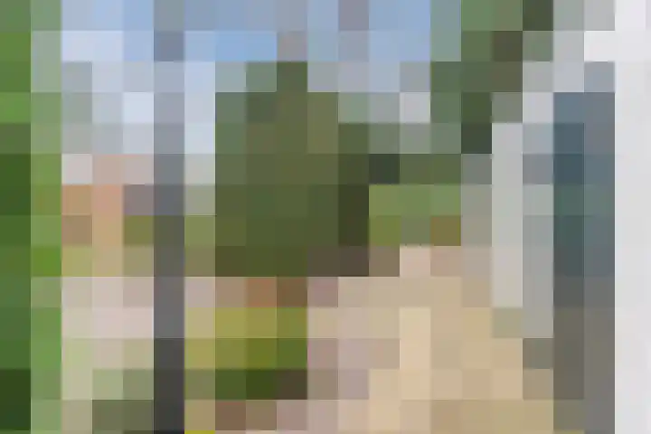 Nassaulaan 13 Ermelo thumbnail 53