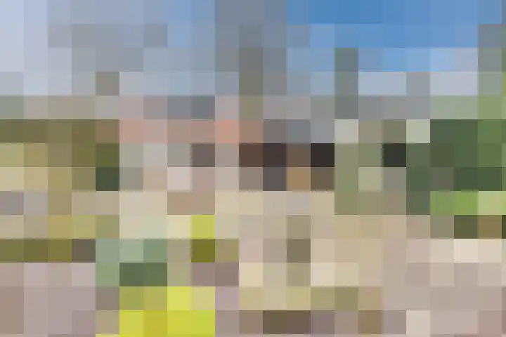 Nassaulaan 13 Ermelo thumbnail 57