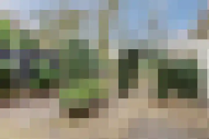 Nassaulaan 13 Ermelo thumbnail 61